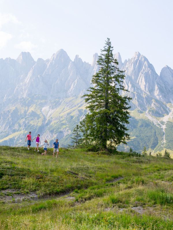 Jagglhütte Maria Alm im Sommer